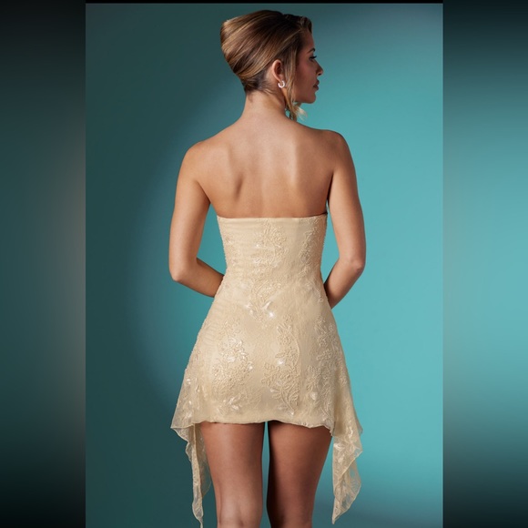 Embellished Lace Bandeau Mini
Dress in Ivory - Picture 3 of 6